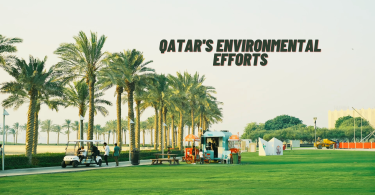 Qatar Environmental Protection, Photo by Emre on Unsplash